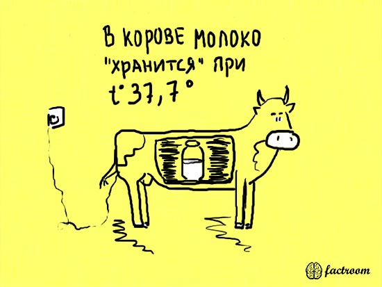 ���������� ����� � ��������� (24 ����)
