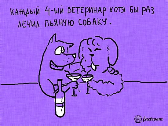 ���������� ����� � ��������� (24 ����)