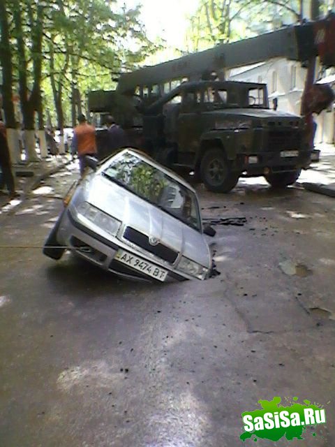 ������ ���� ��� ����� (11 ����)