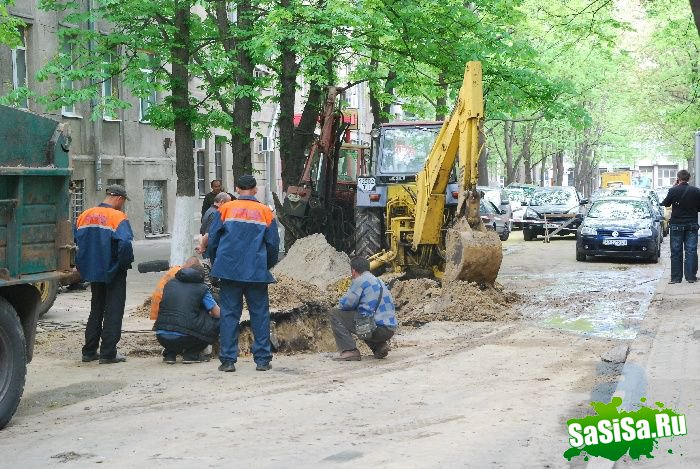 ������ ���� ��� ����� (11 ����)