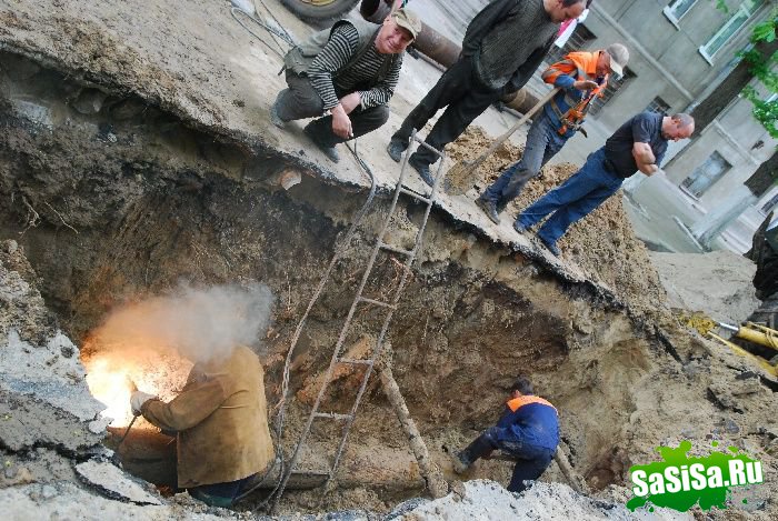 ������ ���� ��� ����� (11 ����)