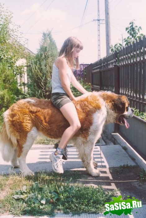 Фотоподборка (дальше в развёрнутом виде)