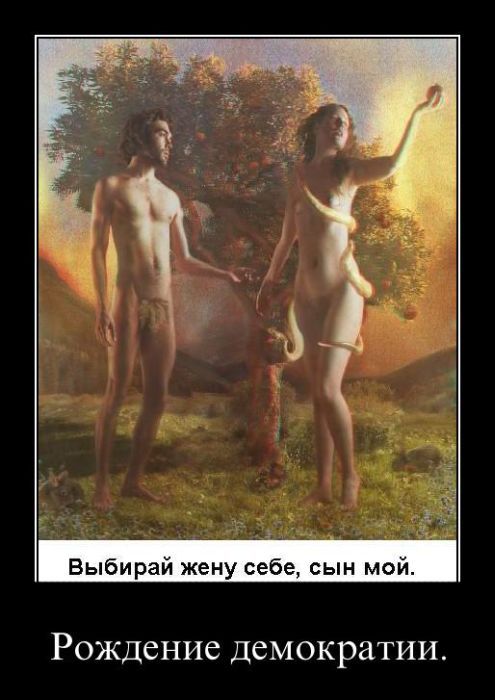 Демотиваторы (20 фото)