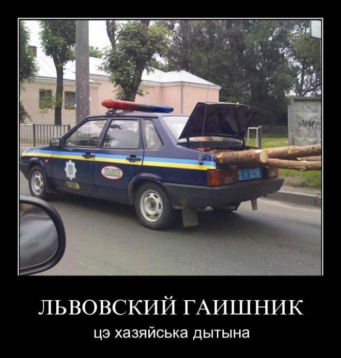 Демотиваторы (20 фото)