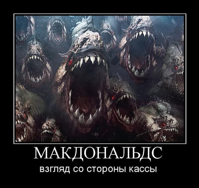 Демотиваторы (20 фото)