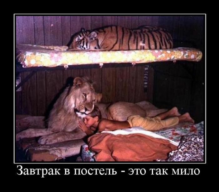 Демотиваторы (20 фото)