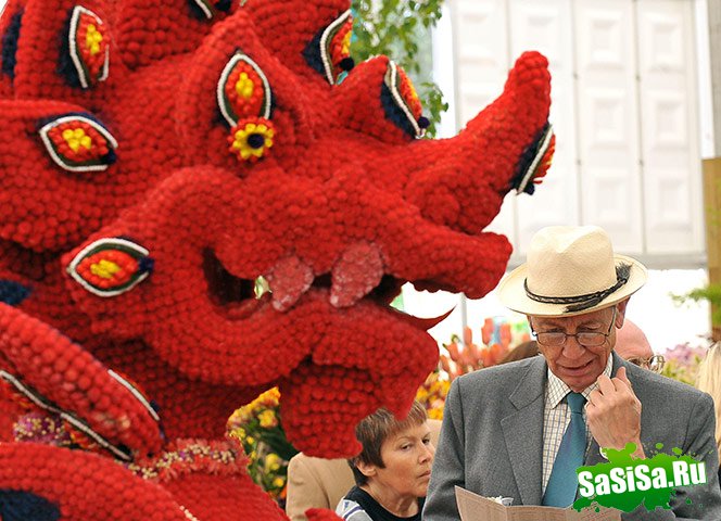    -2011 (10 )