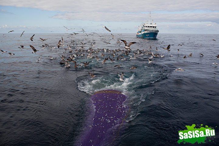 Выставка рыболовства Ocean-2012 (17 фото)