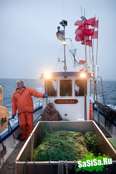 Выставка рыболовства Ocean-2012 (17 фото)
