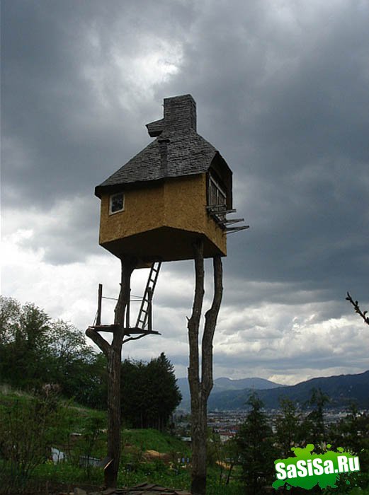 Самые необычные дома (20 фото)