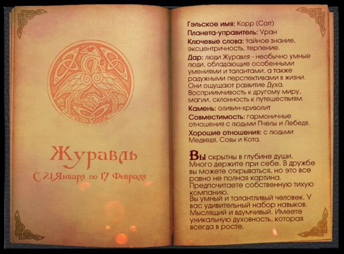 Кельтский гороскоп животных (13 фото)