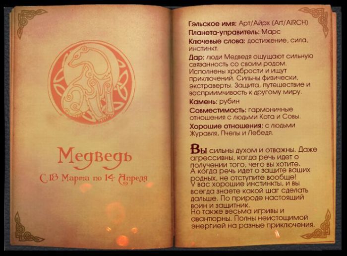 Кельтский гороскоп животных (13 фото)