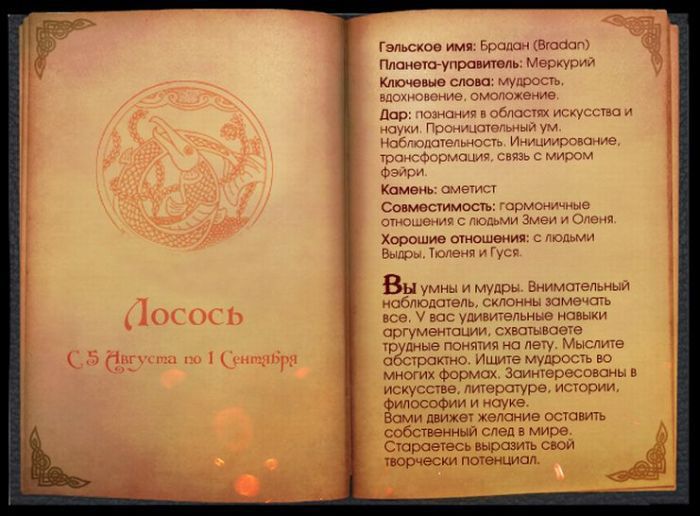 Кельтский гороскоп животных (13 фото)