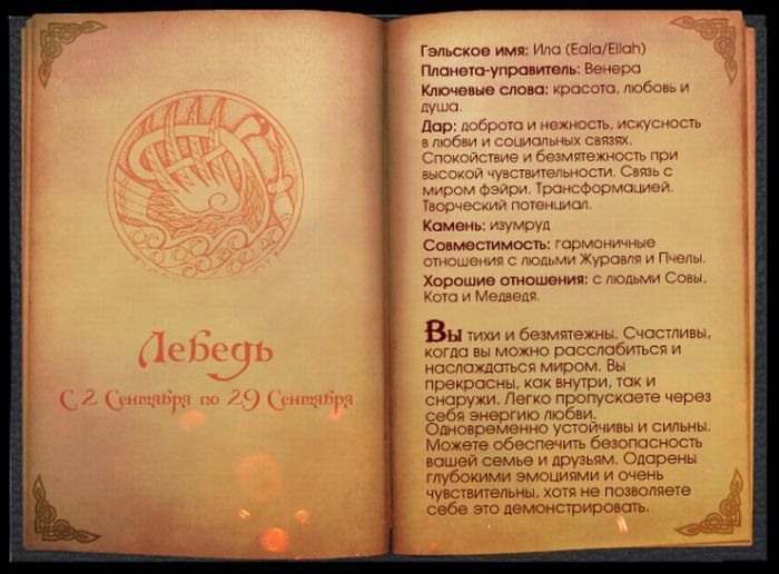 Кельтский гороскоп животных (13 фото)