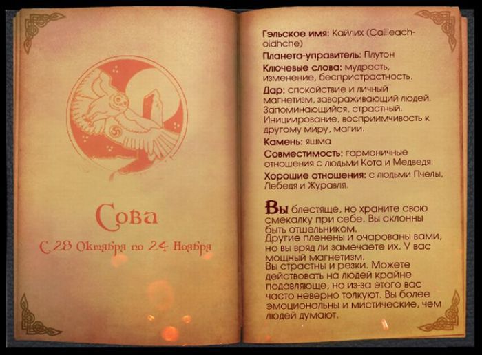 Кельтский гороскоп животных (13 фото)
