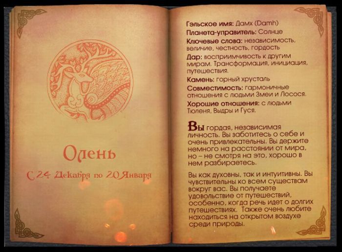 Кельтский гороскоп животных (13 фото)