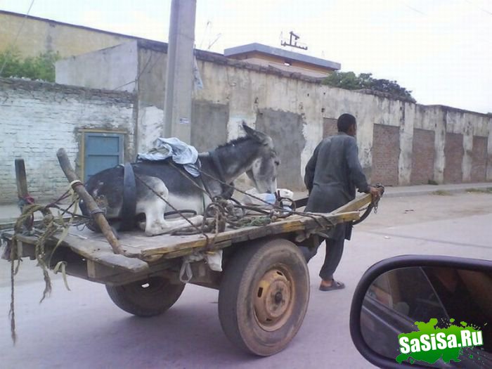 Фотоподборка (дальше в развёрнутом виде)