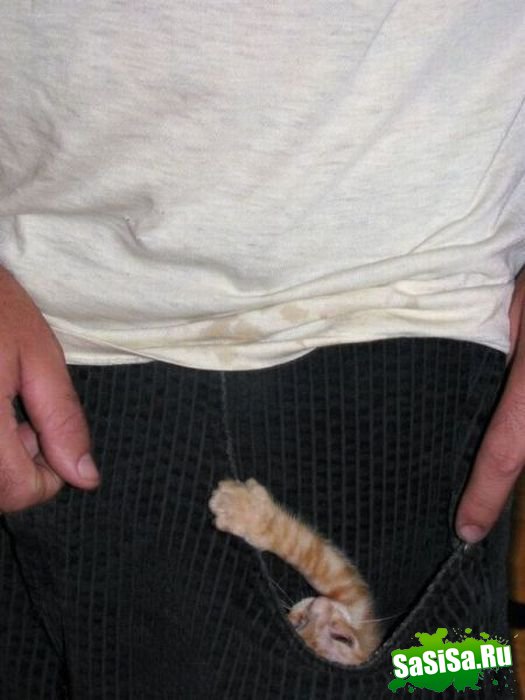  (   )