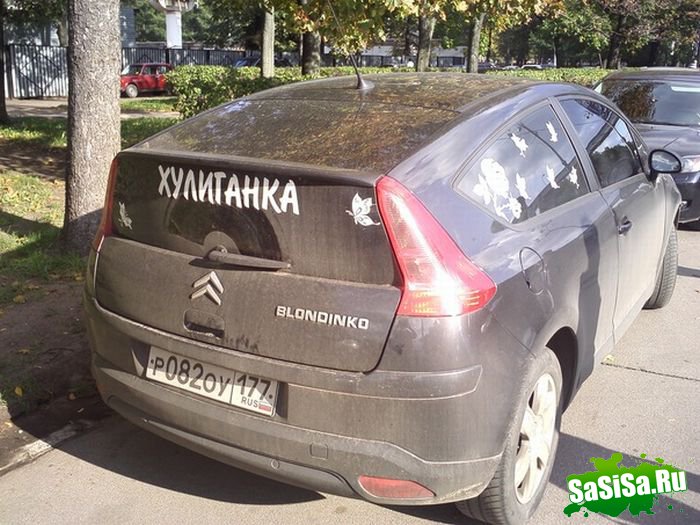 Фотоподборка (дальше в развёрнутом виде)
