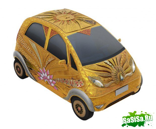  Tata Nano (17 )