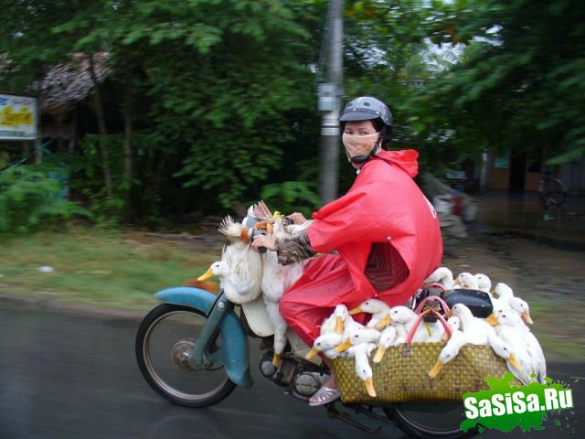 Фотоподборка (дальше в развёрнутом виде)