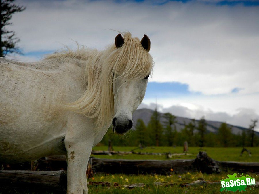   National Geographic   2011 (17 )