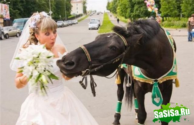 Фотоподборка (дальше в развёрнутом виде)