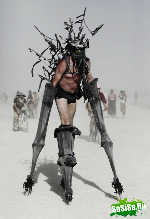  Burning Man-2011 (20 )