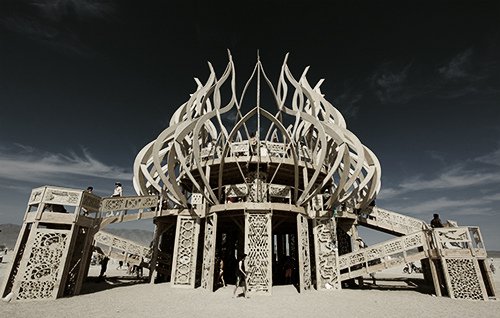  Burning Man-2011 (20 )