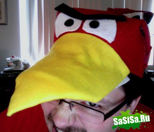    Angry Birds (13 )