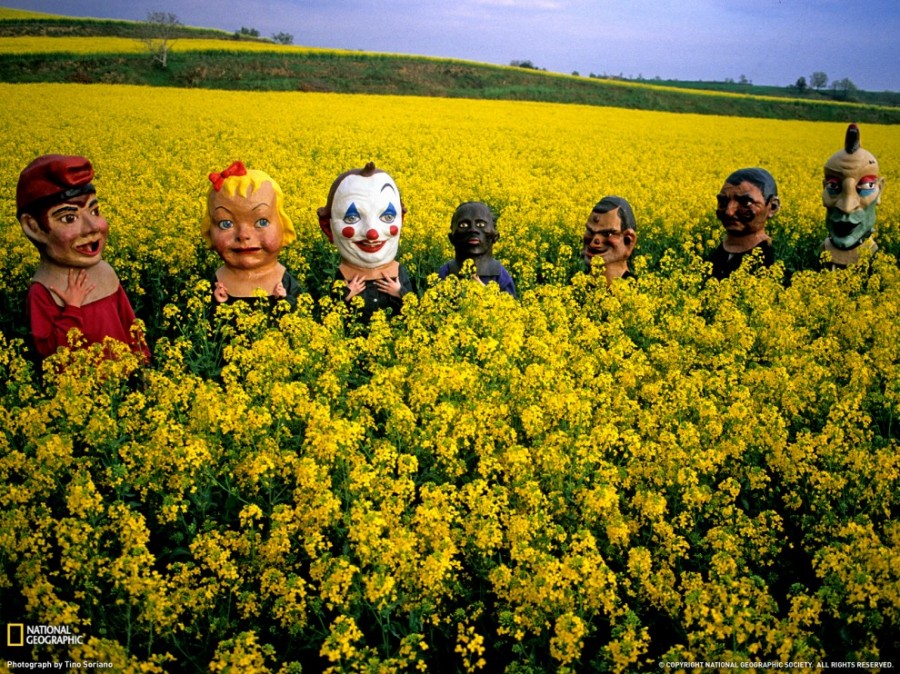   National Geographic   2011  (27 )