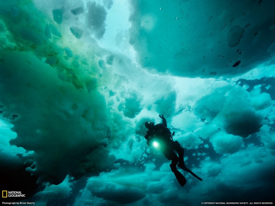   National Geographic   2011  (27 )