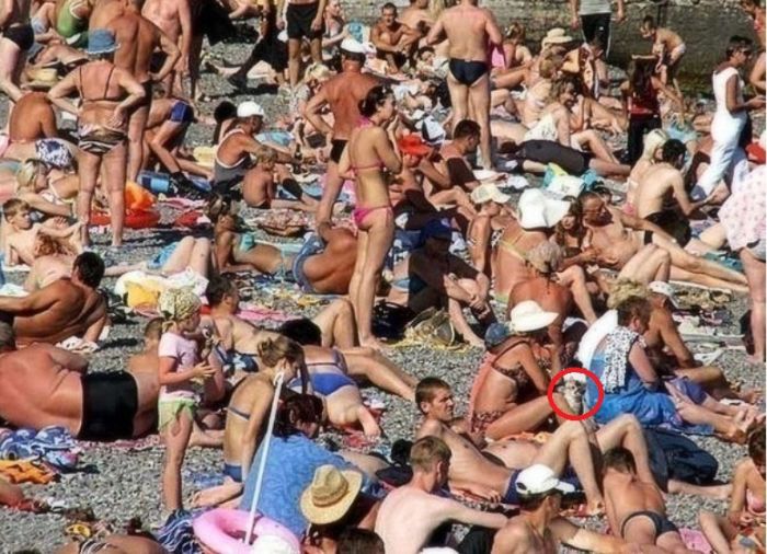 На внимательность... :) (9 фото)