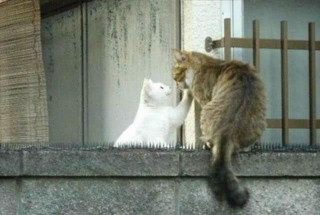 Love is... (3 )
