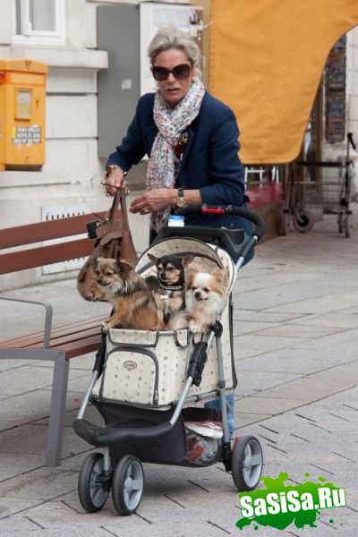 Фотоподборка (дальше в развёрнутом виде)