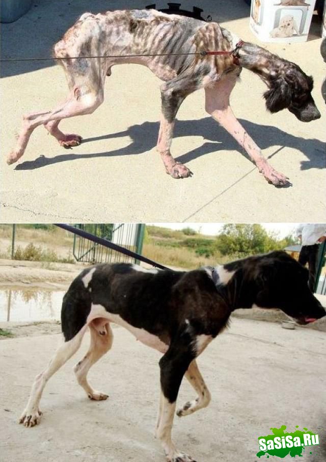 Фотоподборка (дальше в развёрнутом виде)