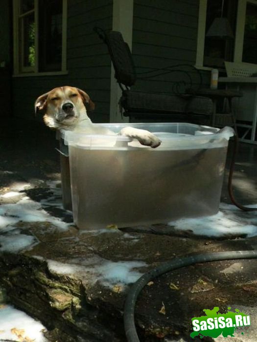 Фотоподборка (дальше в развёрнутом виде)
