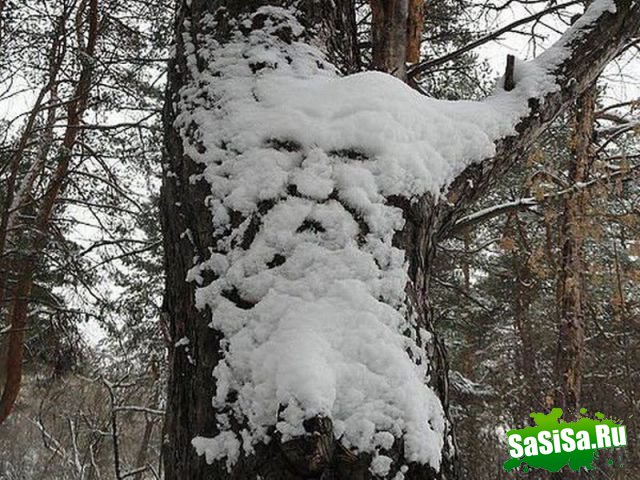  (   )