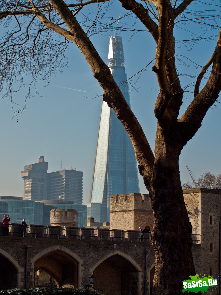   Shard London Bridge (15 )