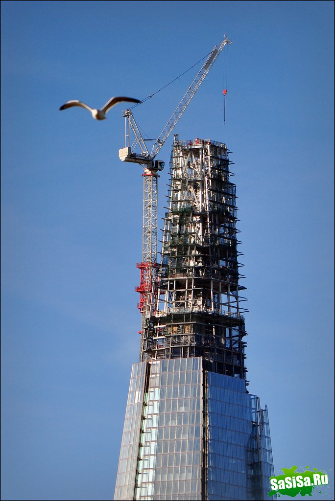   Shard London Bridge (15 )