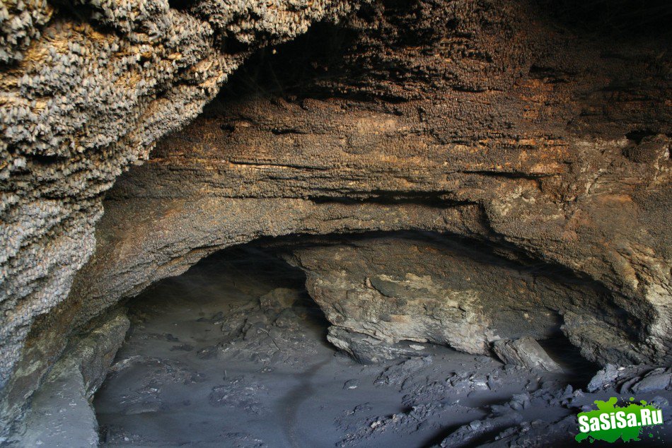 Крупнейшая колония летучих мышей теперь доступна туристам (7 фото)
