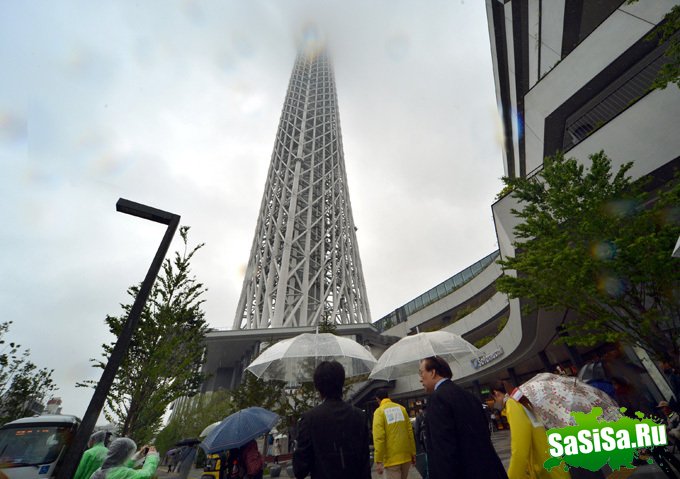      Tokyo Sky Tree (6 )