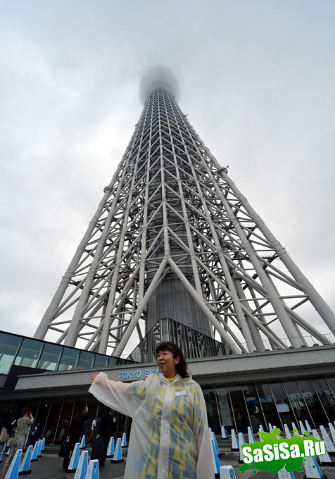      Tokyo Sky Tree (6 )