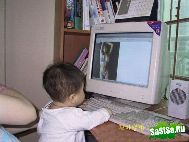  (   )