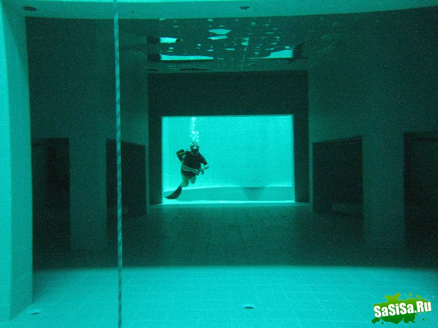 Nemo 33  c     (9 )