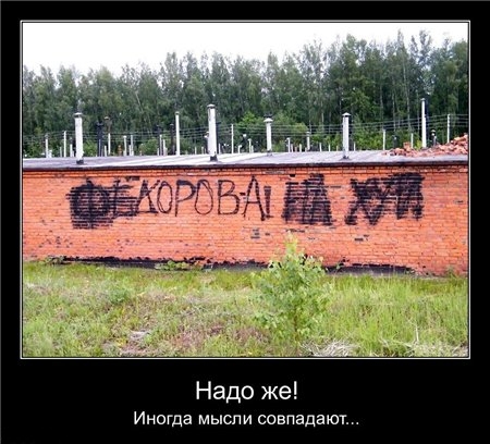 Демотиваторы вторника (30 фото)