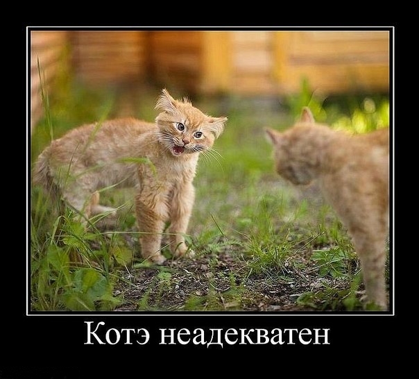Демотиваторы понедельника (2 фото)