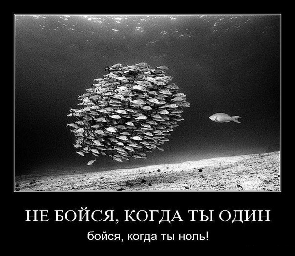Демотиваторы понедельника (2 фото)