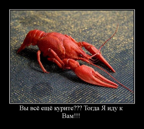 Демотиваторы понедельника (2 фото)