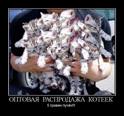 Демотиваторы понедельника (2 фото)